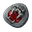 Dragon Coins